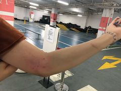 -蓝天射箭馆·专业射箭运动(诚丰广场店)