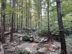 -国家植物园南园