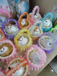 -贝爱时刻月子中心(宝安妇幼店)