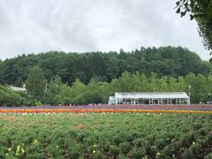 -富田农场