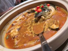 招牌砂锅鱼头煲-新天明砂锅鱼头煲