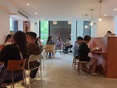 -猫里有甜