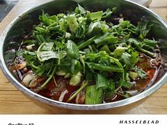 -北门张家羊肉粉(森航·乐活城西南)