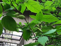 -院子餐厅·大锅菜·老杭帮(桥西直街店)