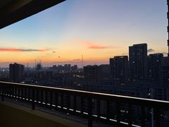 -合肥滨湖国家森林公园