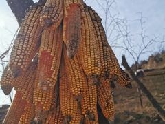 -梁家河村红色旅游区