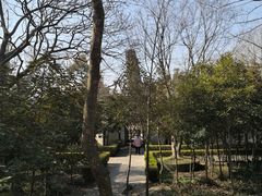 -上海佘山国家森林公园天马山园