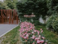 -花开海上生态园