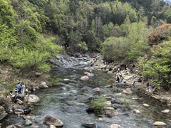 -石台牯牛降景区