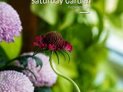 -RiceZone乐食尊纯米面包坊(望京店)