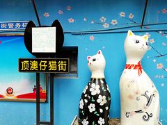 -猫街麻糍哥(思明南路店)