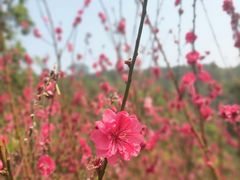 -白水带风景区体育公园