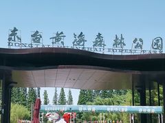 -黄海国家森林公园