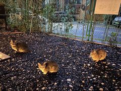 -DGE季风钓虾营地·团建·聚会