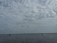 -南汇嘴观海公园
