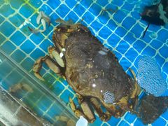 -聚德福海鲜家常菜(刘庄店)