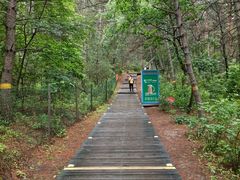 -帽儿山国家森林公园