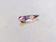 -西安曲江寒窑遗址公园