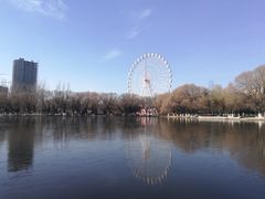 -青城公园