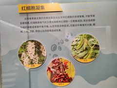 -天津自然博物馆