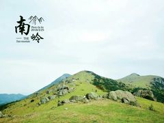 -大姆山草场
