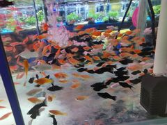 -三旗百汇商品城