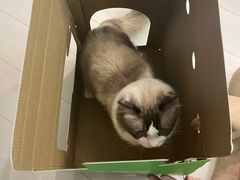 -LINLEE林里·手打柠檬茶(黄浦茂名南路店)