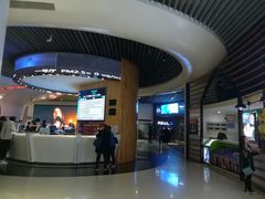 -奥斯卡升龙国际影城(RealD Cinema)