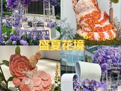 -中海环宇荟