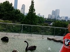 -行者书屋大堂吧 ·下午茶(南京圣和府邸酒店)