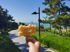 -养马岛旅游度假区