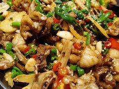 姜椒味牛蛙-蛙来哒(龙华壹方天地店)