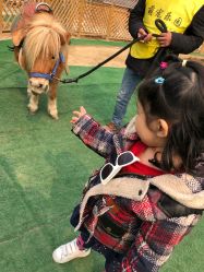 -萌宠亲子动物乐园(槐房万达店)