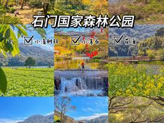 -广州市石门国家森林公园