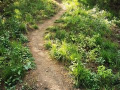-青龙山国家森林公园