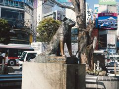 -涩谷区
