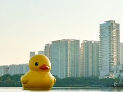 -深圳湾公园(南山区)