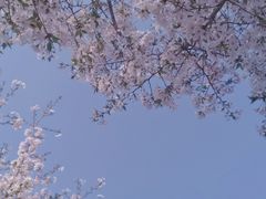 -广富林郊野公园