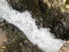 -鹿亭中村
