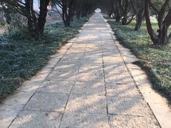 -洛阳古墓博物馆