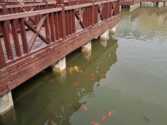 -中国农业博物馆