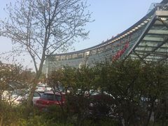 -上海中医药大学附属曙光医院(东部)