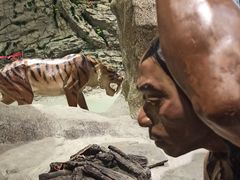 -房山世界地质公园博物馆