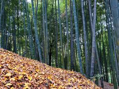-宝石山