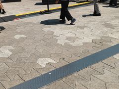 -星光大道