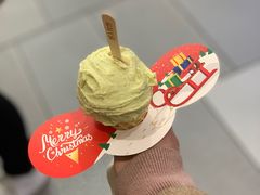 -野人先生现做冰淇淋(西安赛格店)