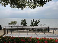 -深圳湾公园(南山区)