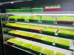 -番食园鲜食火锅(高新店)