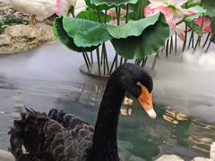 -赛格国际购物中心(小寨店)