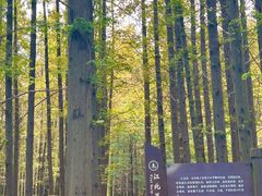 -日照海滨国家森林公园